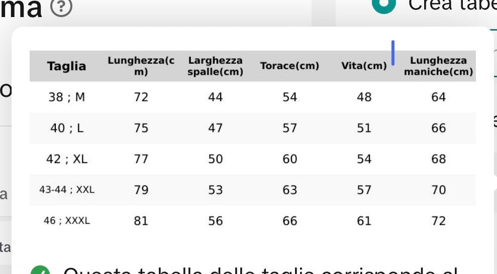 Camicia Regular Fit in Cotone Leggero con Dettagli Check - logo ricamato - Camiceria Pierro